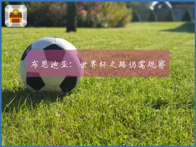 布恩迪亚：世界杯之路仍需观察